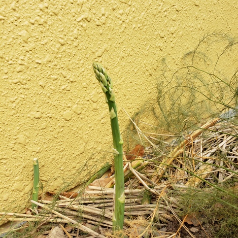 20200623124957.jpg 20200623124957.jpg