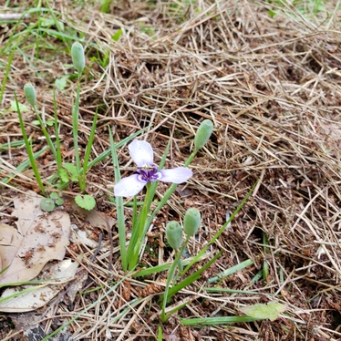 20200623173931.jpg 20200623173931.jpg