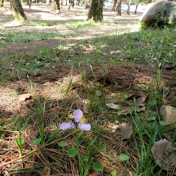 20200623173932.jpg 20200623173932.jpg