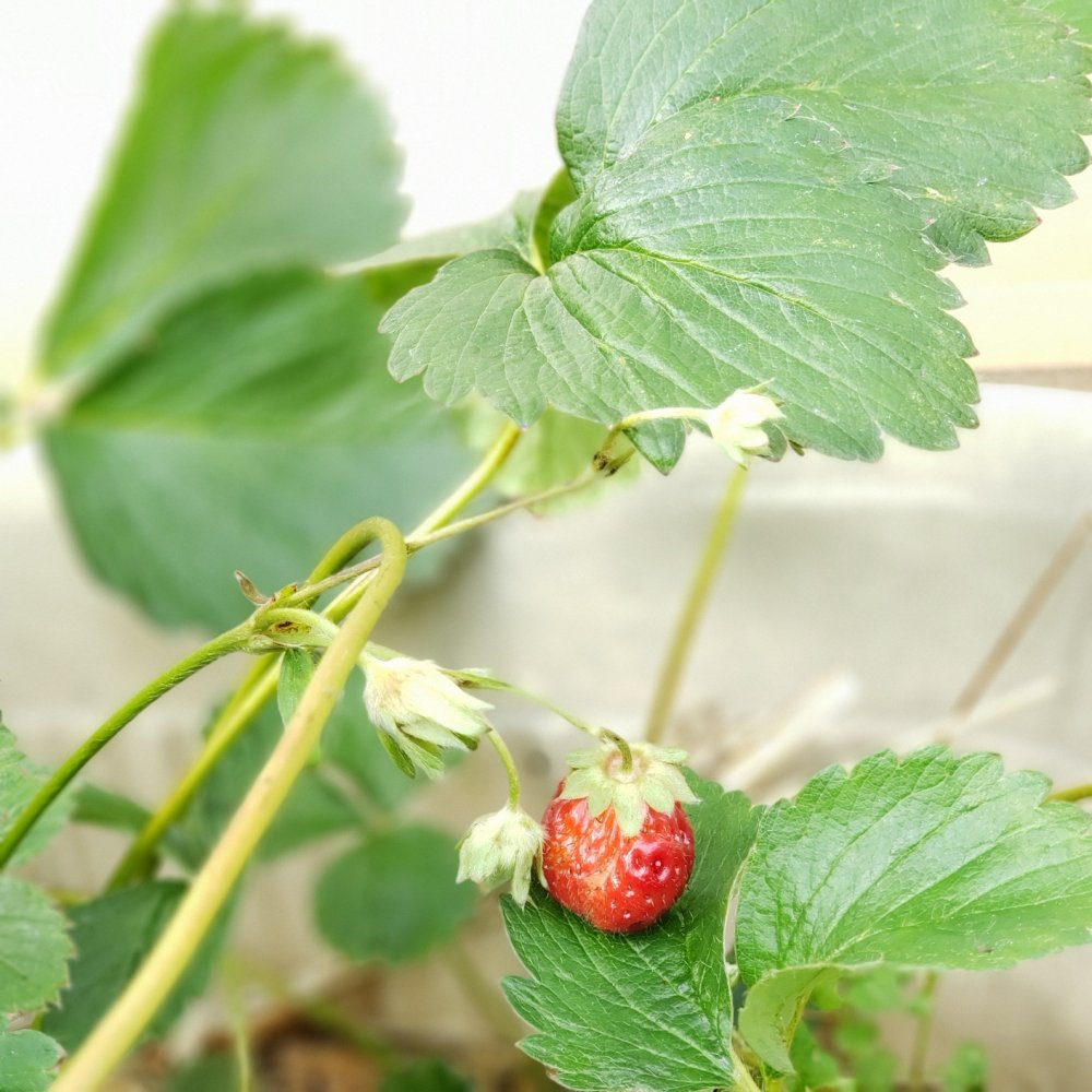 20200706090854.jpg 20200706090854.jpg