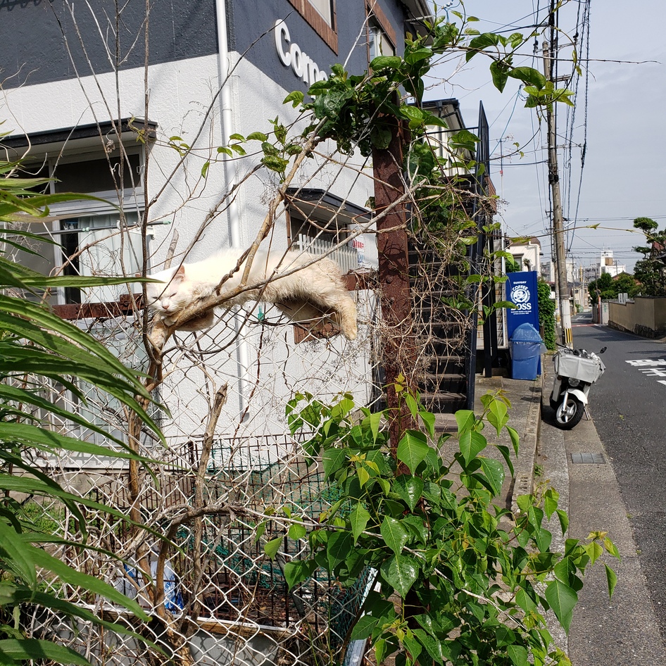 20200706091216.jpg 20200706091216.jpg