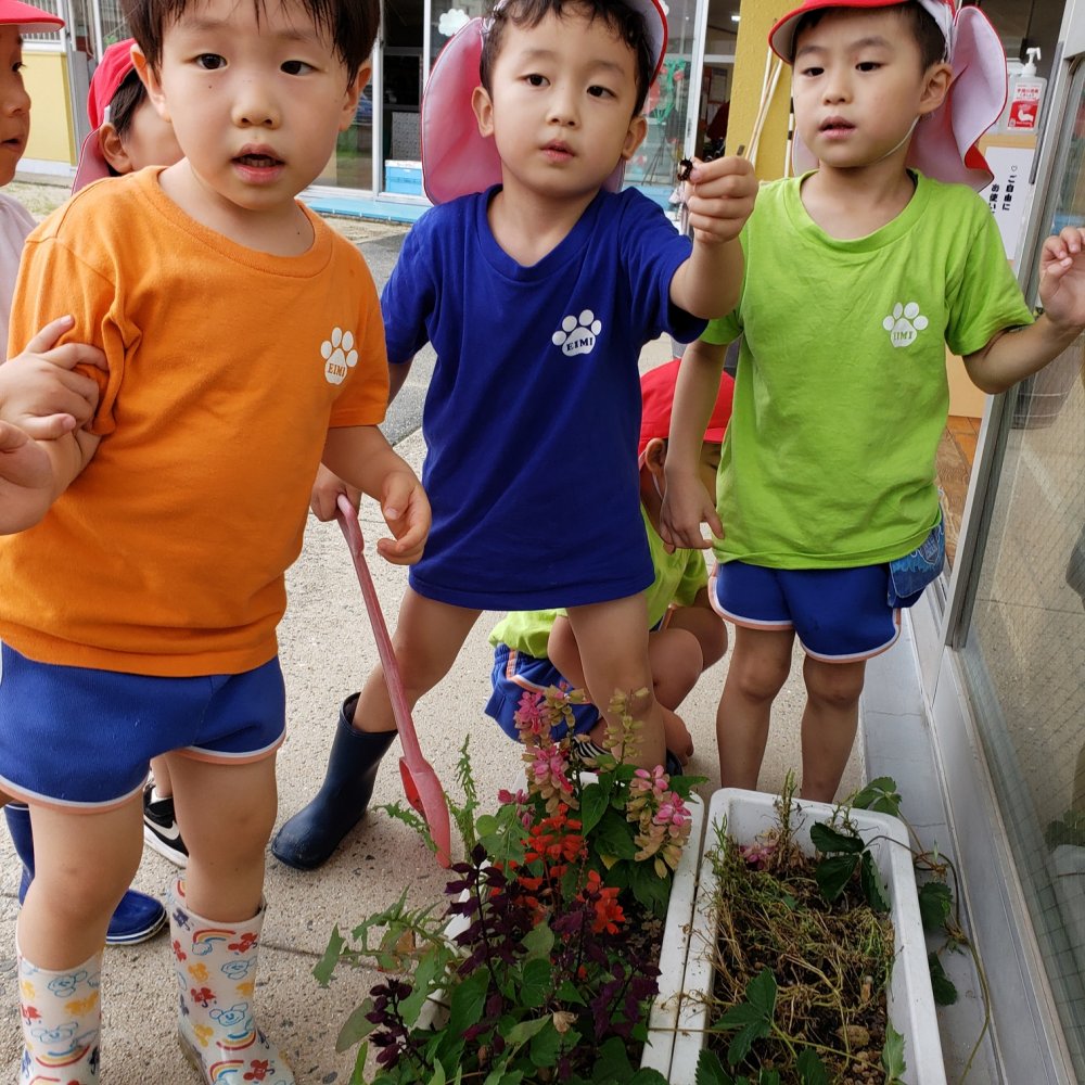 20200716203820.jpg 20200716203820.jpg