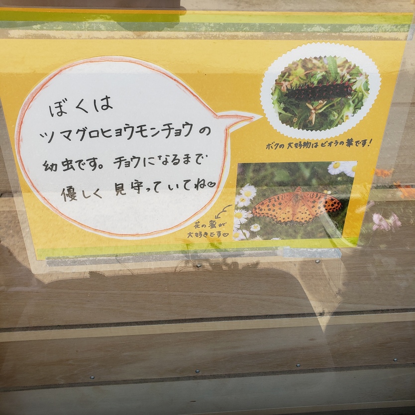 20200716203821.jpg 20200716203821.jpg