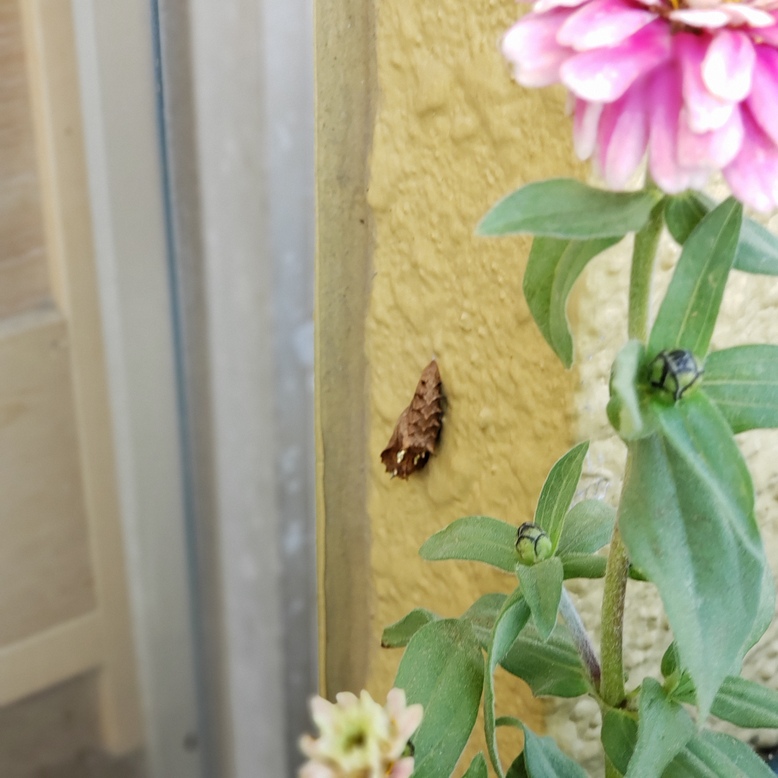 20200716203822.jpg 20200716203822.jpg