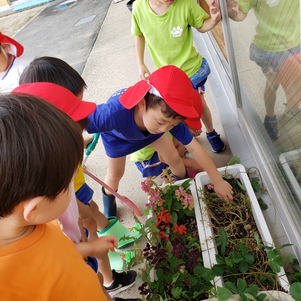 20200716204417.jpg 20200716204417.jpg