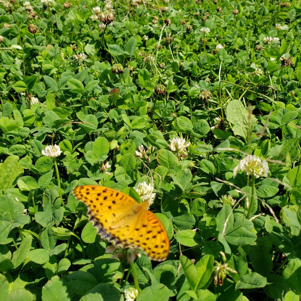 20200716211858.jpg 20200716211858.jpg