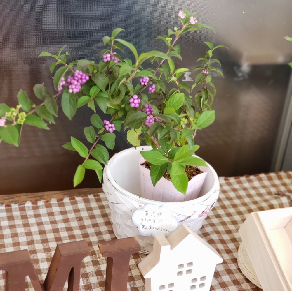 20200925102422.jpg 20200925102422.jpg