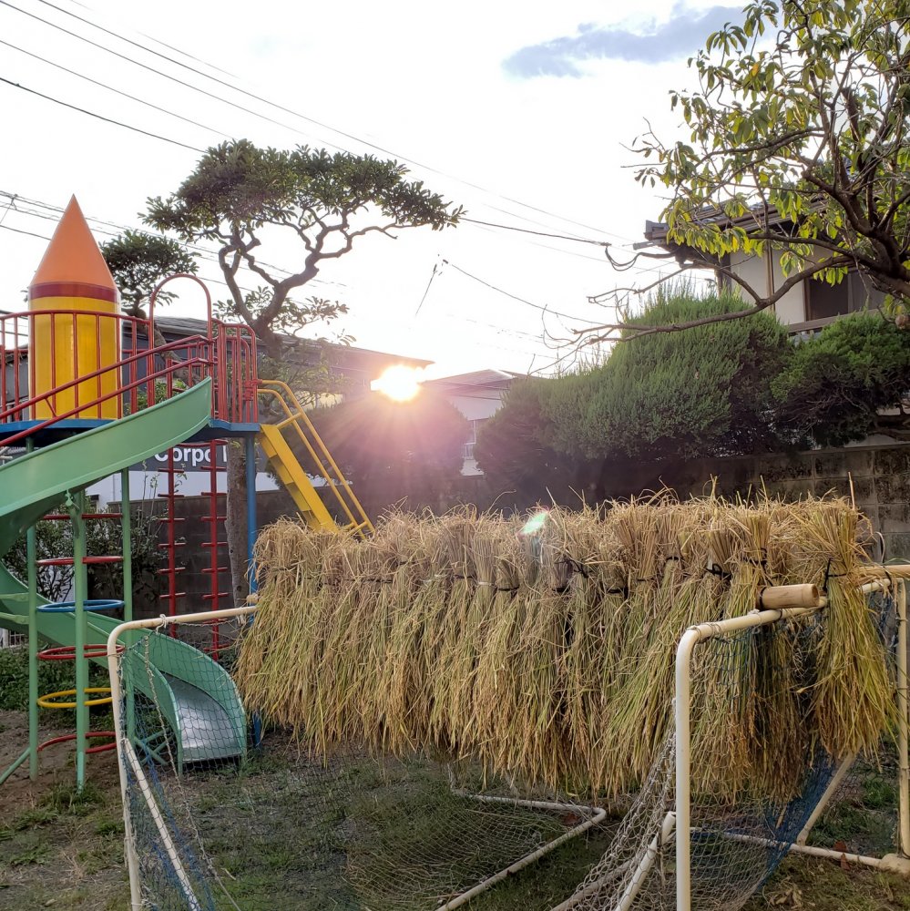 20200928185321.jpg 20200928185321.jpg