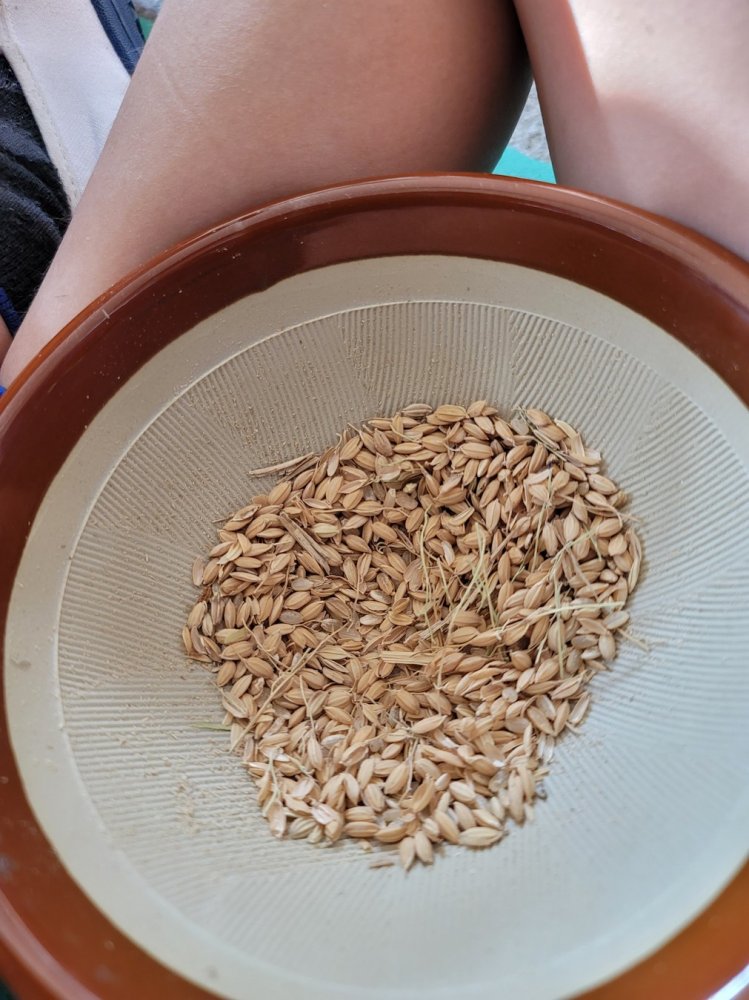 20201117143443.jpg 20201117143443.jpg