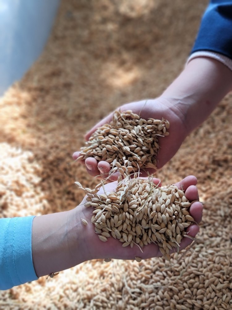 20201117143445.jpg 20201117143445.jpg