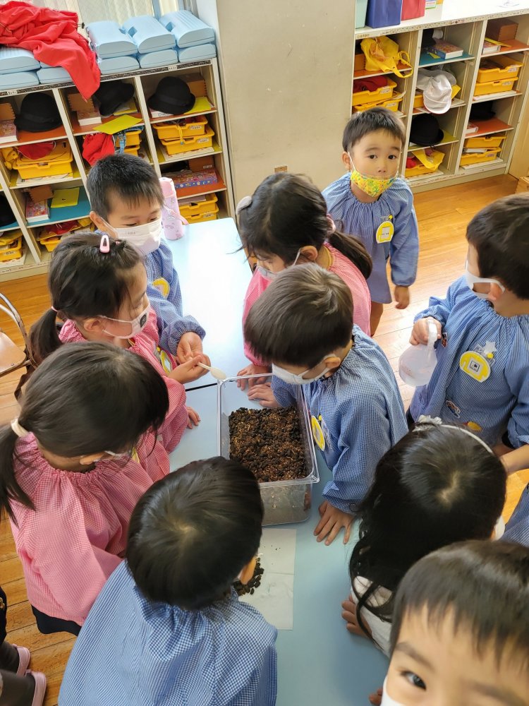 20201128092436.jpg 20201128092436.jpg