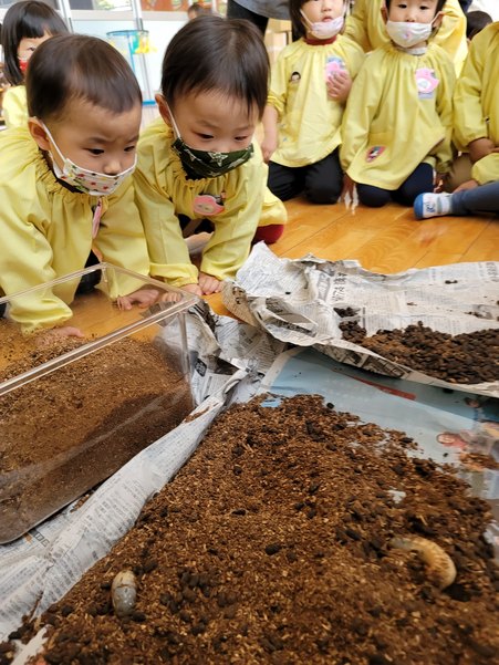 20201128092848.jpg 20201128092848.jpg