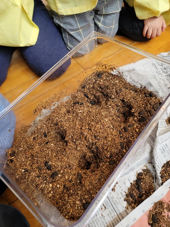 20201128094658.jpg 20201128094658.jpg