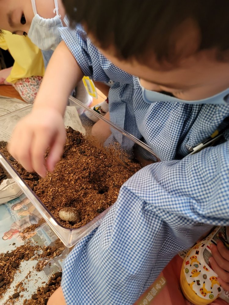 20201128094946.jpg 20201128094946.jpg