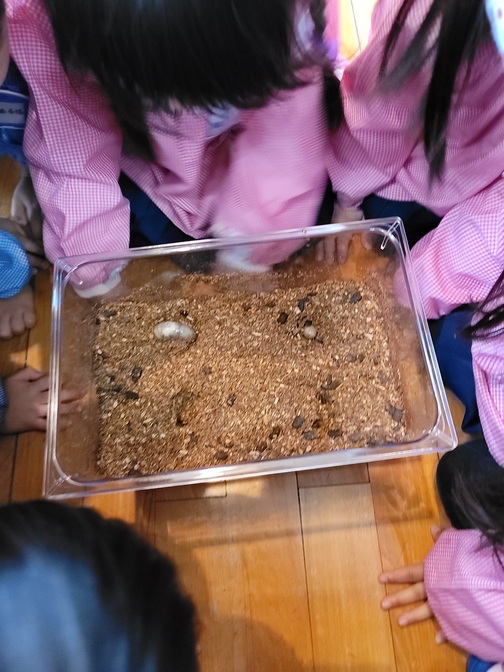 20201128095548.jpg 20201128095548.jpg