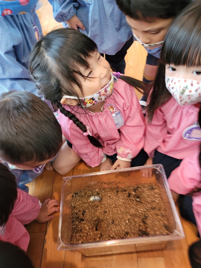 20201128095549.jpg 20201128095549.jpg