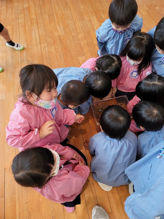 20201128095550.jpg 20201128095550.jpg