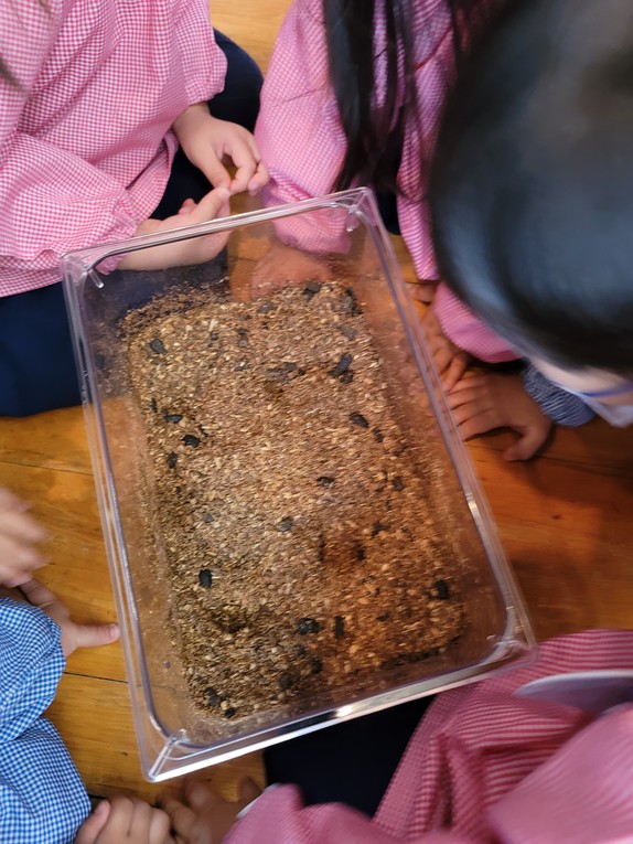 20201128095551.jpg 20201128095551.jpg