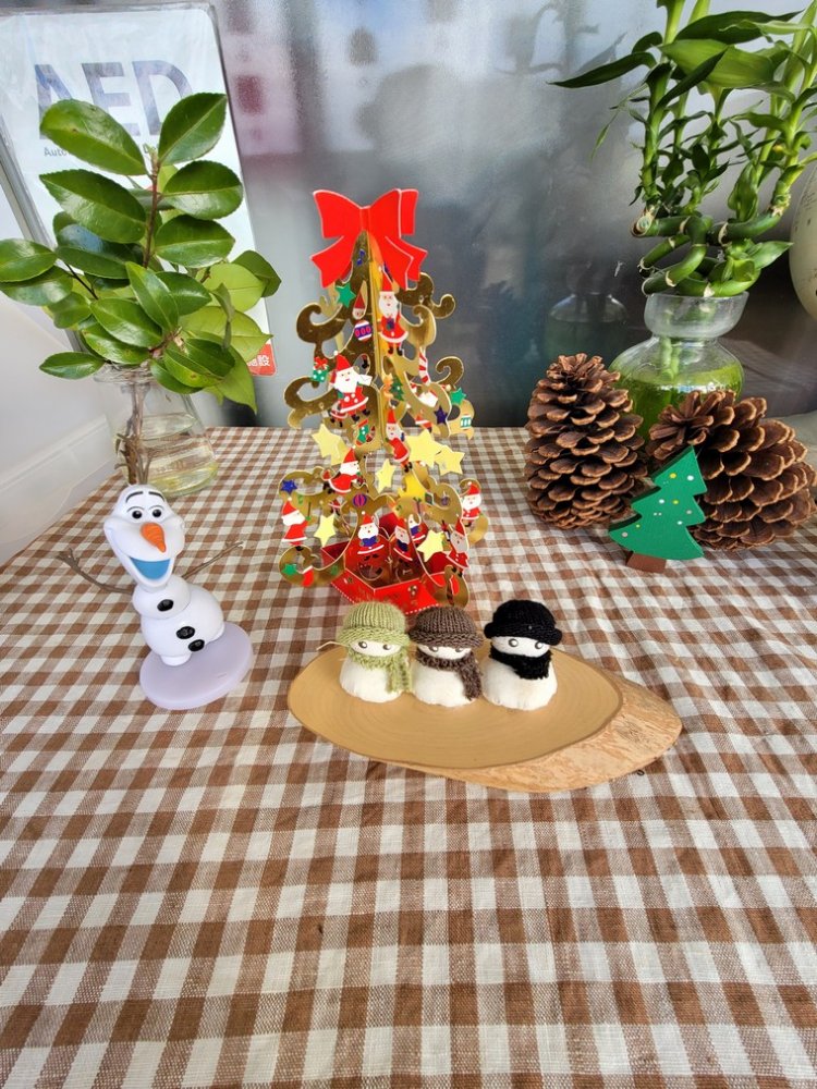 20201223132733.jpg 20201223132733.jpg