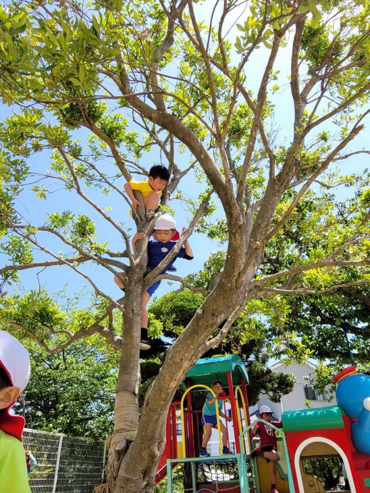 20210525132656.jpg 20210525132656.jpg