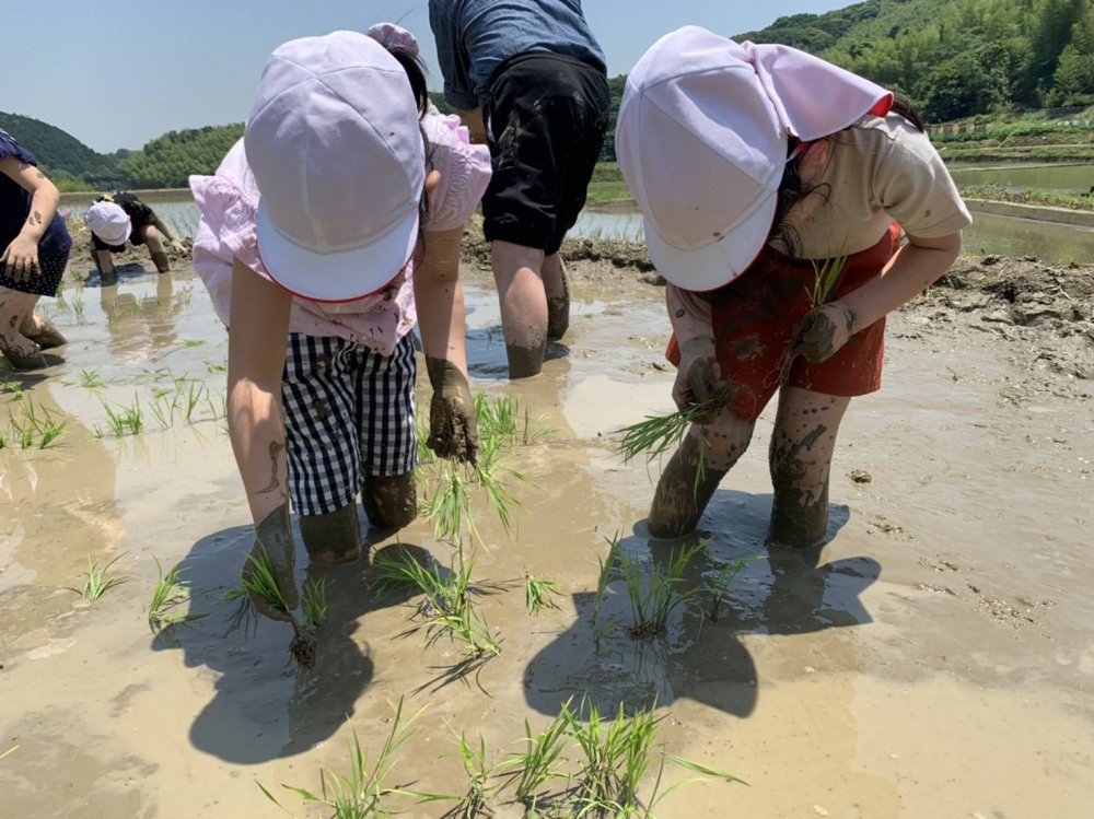 20210531180649.jpg 20210531180649.jpg