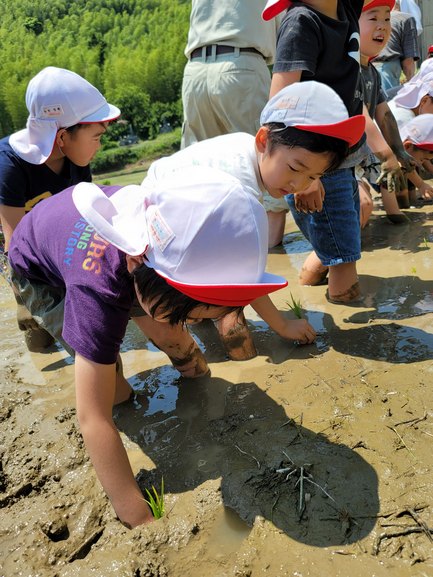 20210531180650.jpg 20210531180650.jpg