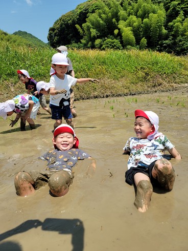 20210531183327.jpg 20210531183327.jpg