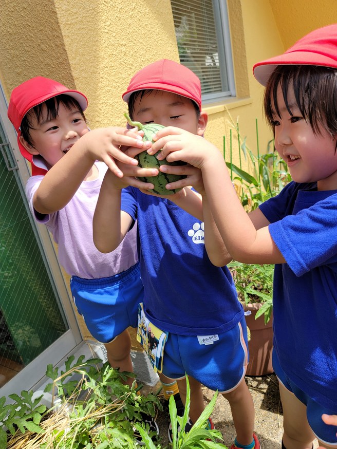 20210716170219.jpg 20210716170219.jpg