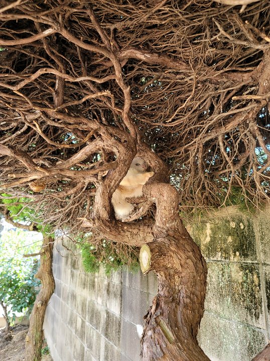 20210728234345.jpg 20210728234345.jpg