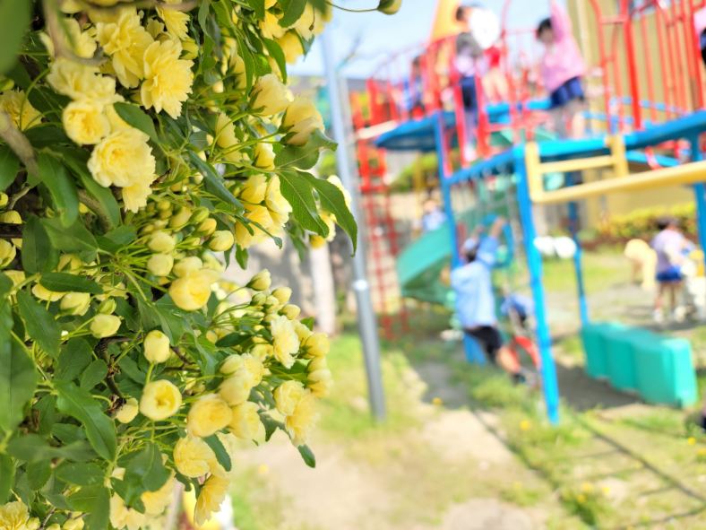 20220419134825.jpg 20220419134825.jpg