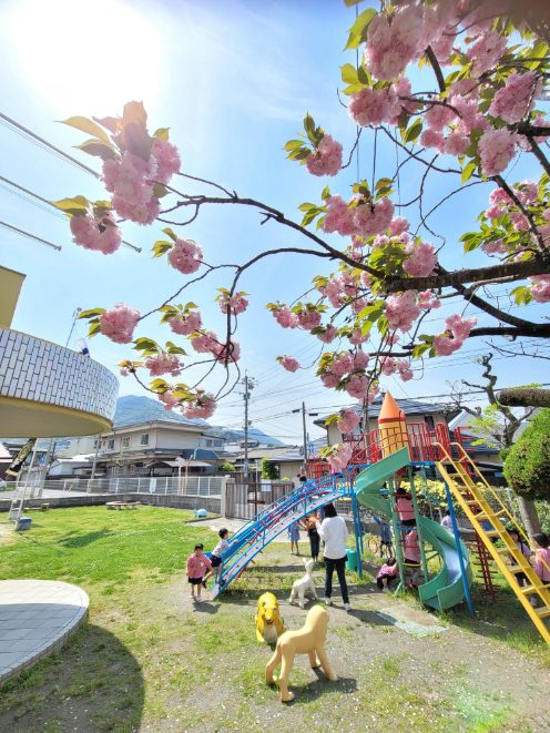 20220419134826.jpg 20220419134826.jpg