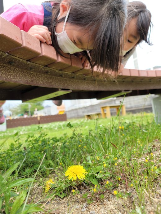 20220419142103.jpg 20220419142103.jpg