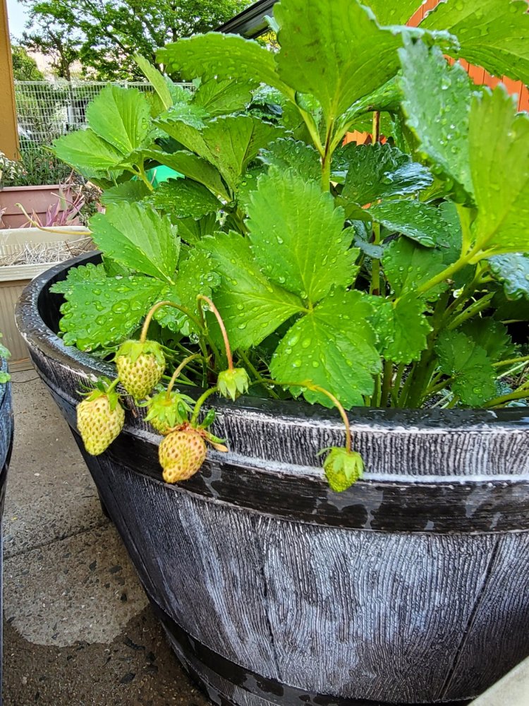 20220419142104.jpg 20220419142104.jpg