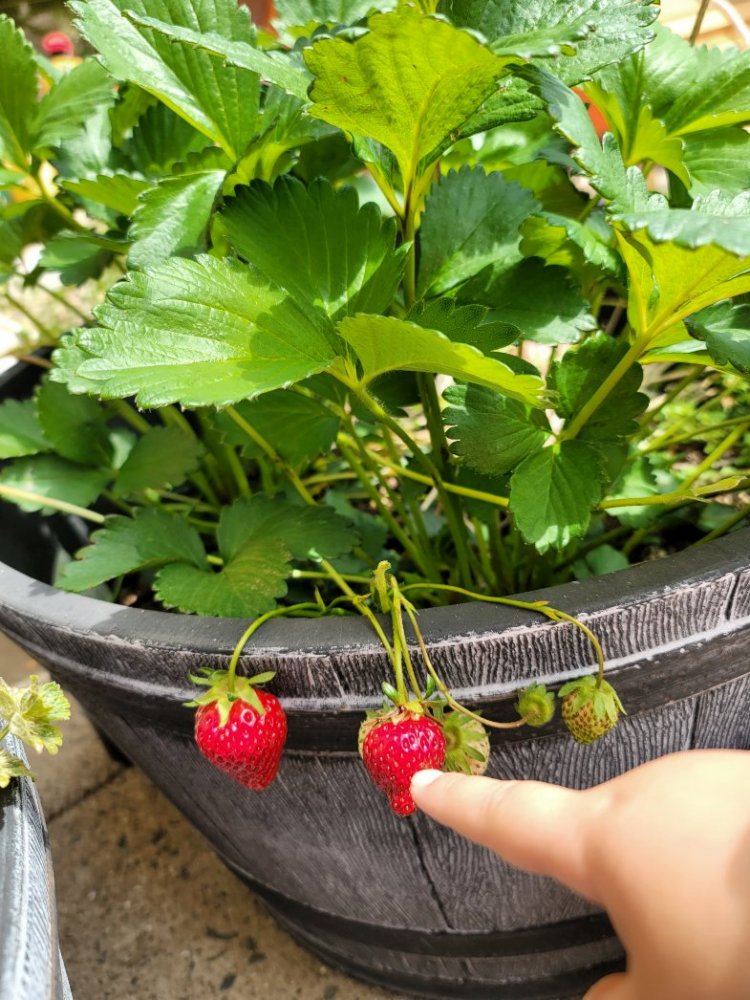 20220419142315.jpg 20220419142315.jpg