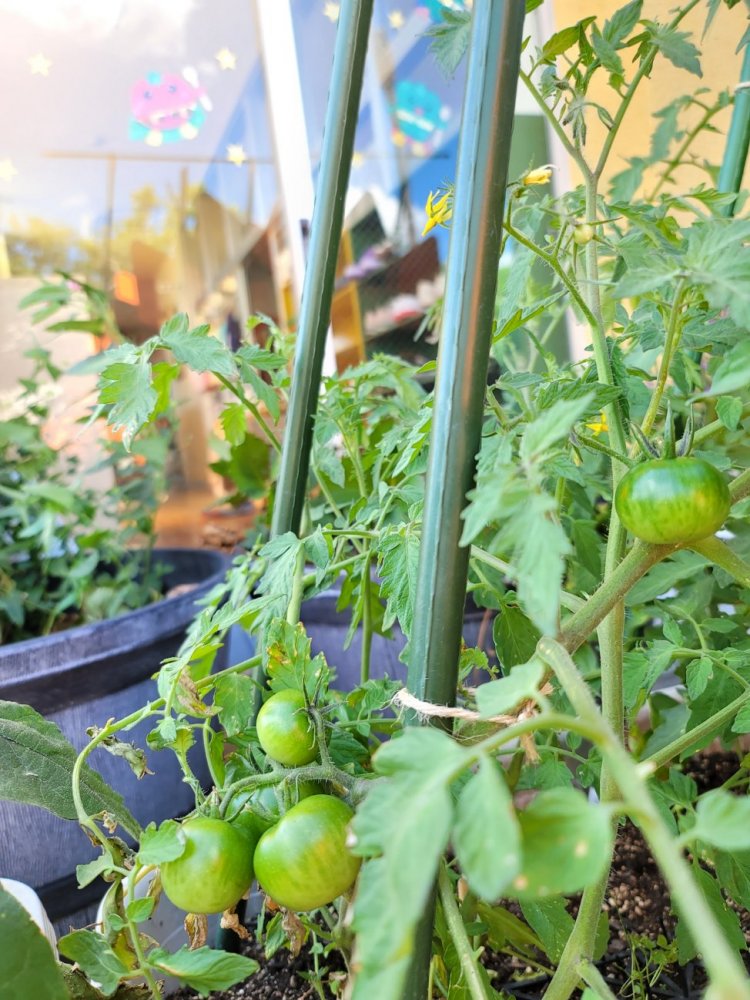 20220629154015.jpg 20220629154015.jpg