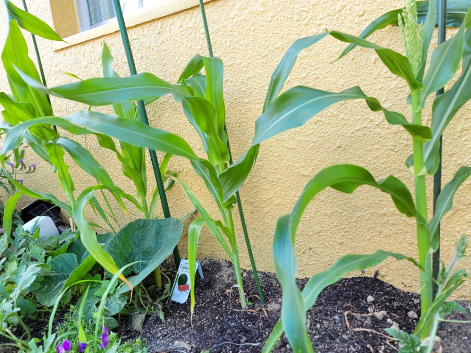 20220629154016.jpg 20220629154016.jpg