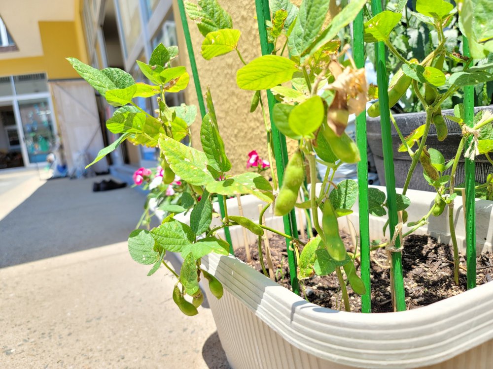 20220701181915.jpg 20220701181915.jpg