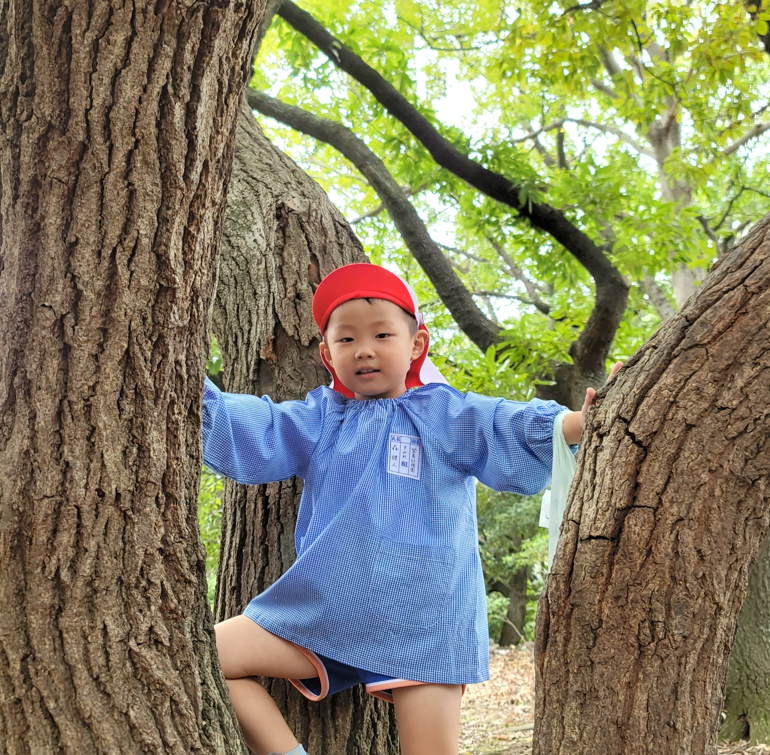 20221018154828.png 20221018154828.png