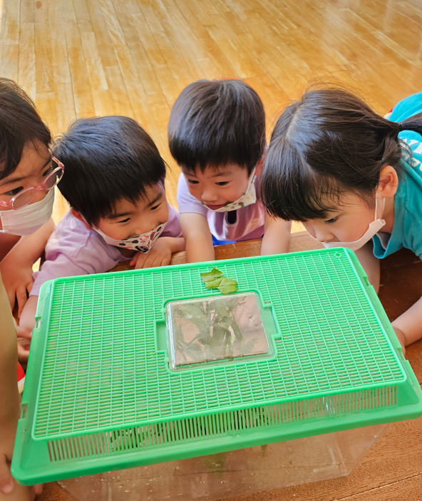 20230529202642.png 20230529202642.png