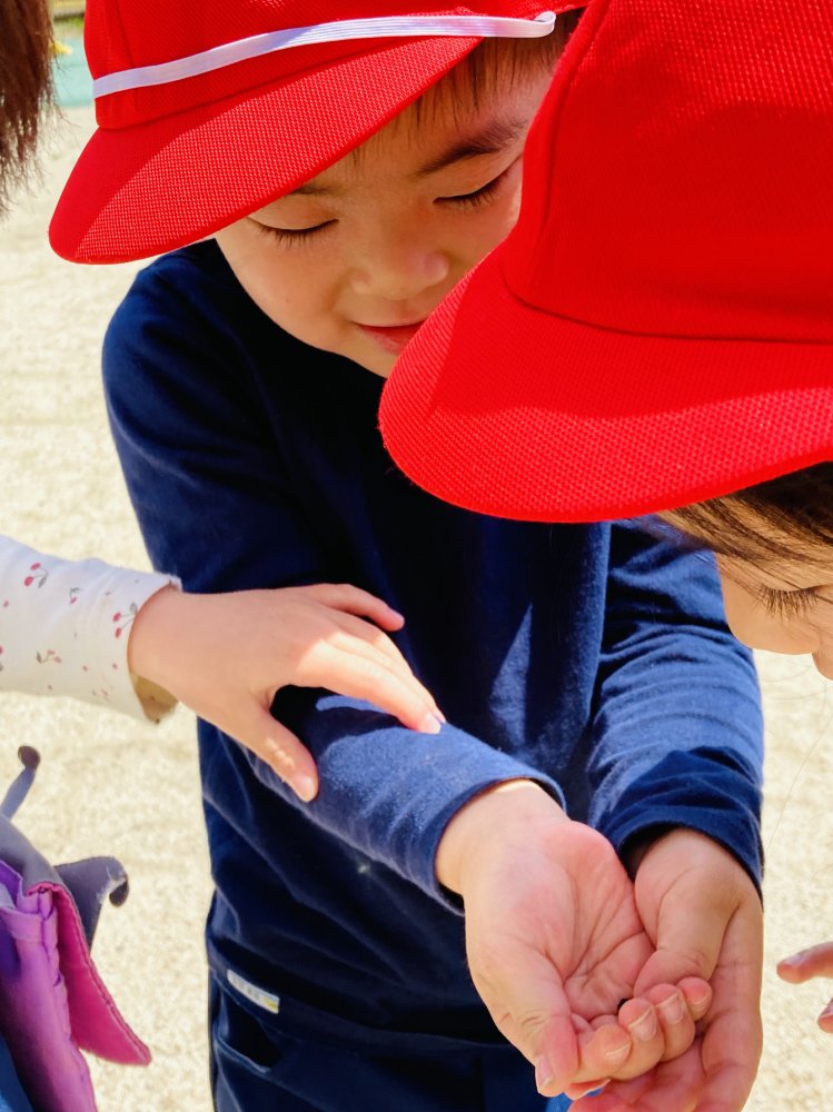 20230529203325.jpg 20230529203325.jpg