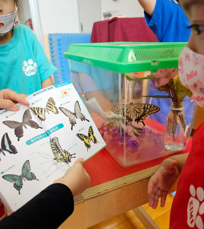 20230531124533.png 20230531124533.png