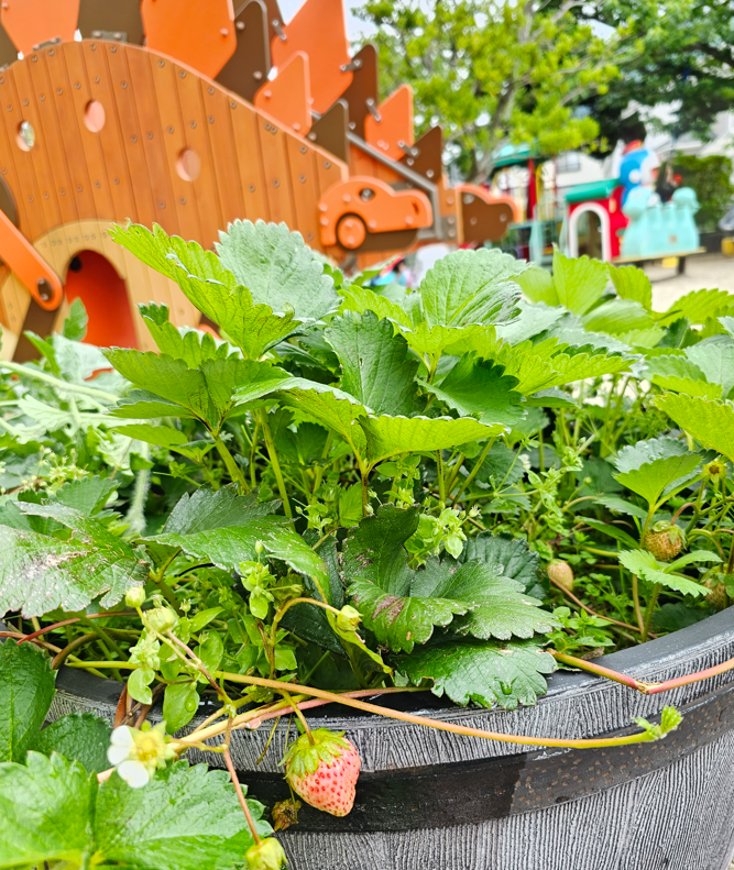 20230602100924.png 20230602100924.png