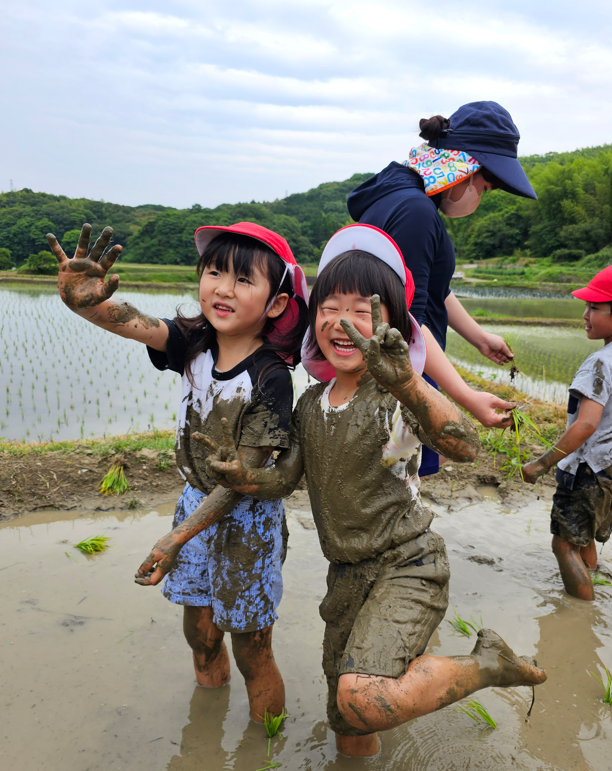 20230607173431.png 20230607173431.png