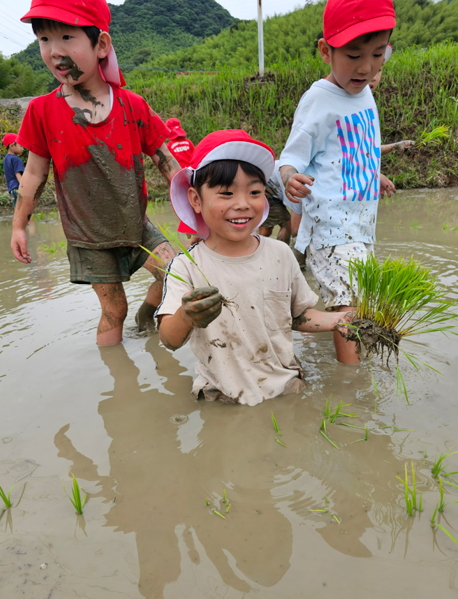 20230607173432.png 20230607173432.png