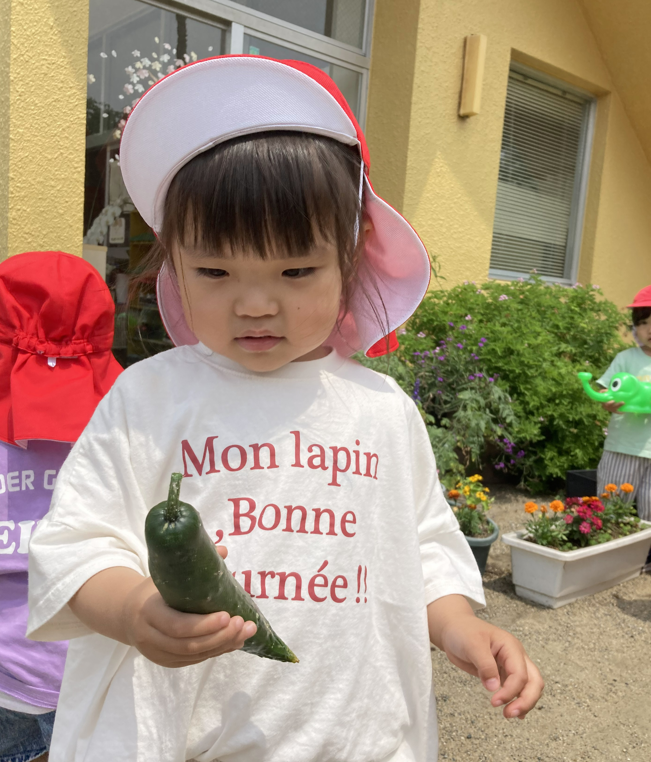 20230701105219.png 20230701105219.png