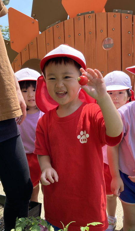 20230701105432.png 20230701105432.png