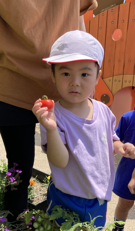 20230701105536.png 20230701105536.png