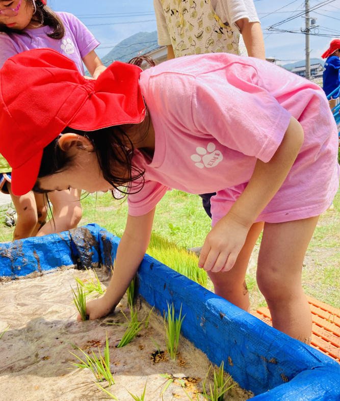 20230701114717.png 20230701114717.png