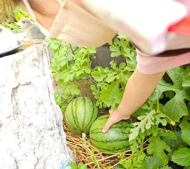 20230726142726.png 20230726142726.png