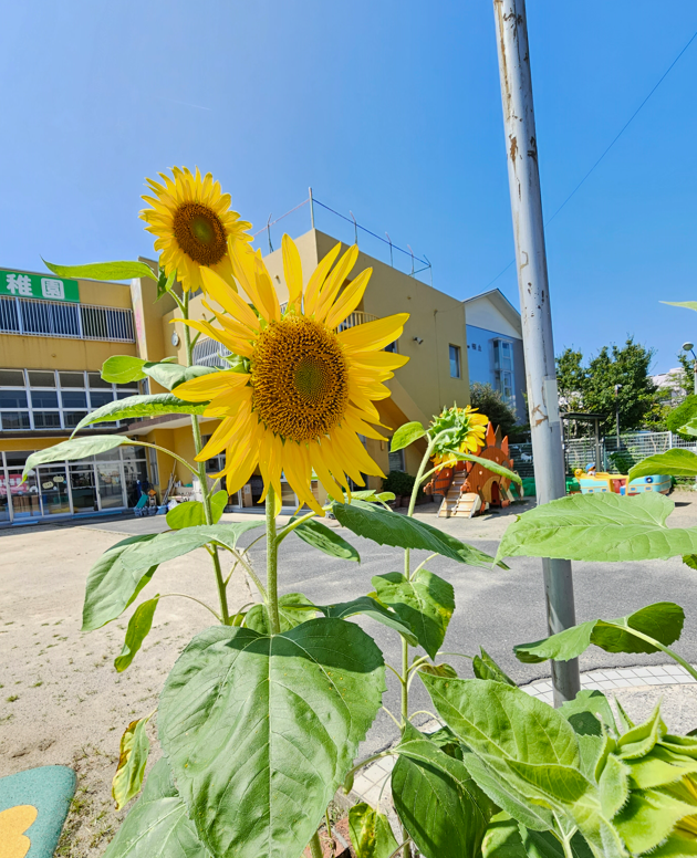 20230726144113.png 20230726144113.png